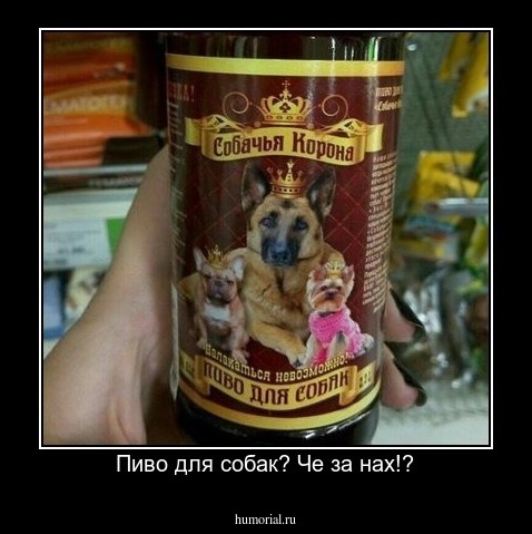 Пиво для собак? Че за нах!?