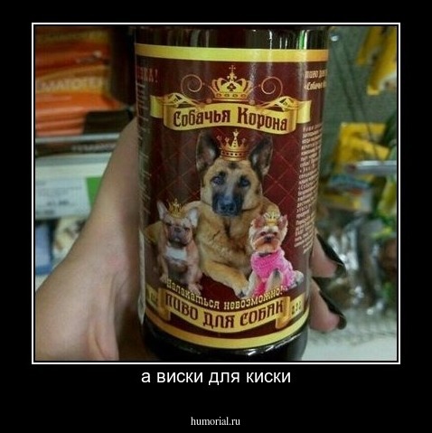 а виски для киски