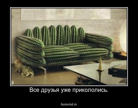Все друзья уже прикололись.
