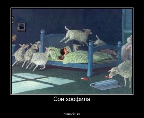 Сон зоофила