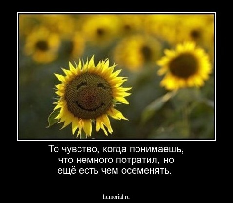 То чувство, когда понимаешь, что немного потратил, но ещё есть чем осеменять.