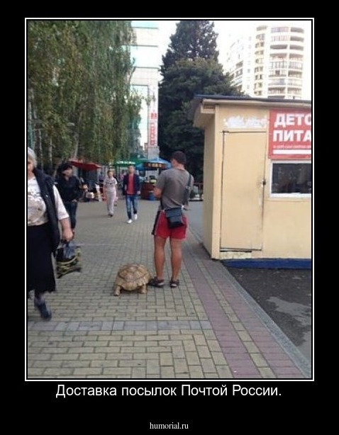 Доставка посылок Почтой России.