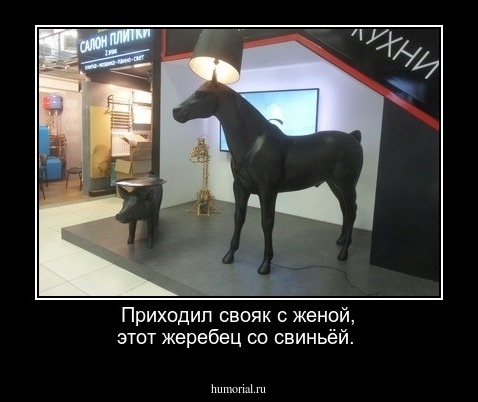 Приходил свояк с женой, этот жеребец со свиньёй.