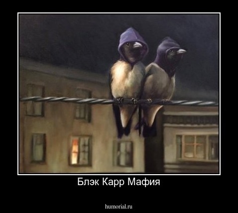 Блэк Карр Мафия