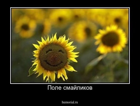 Поле смайликов