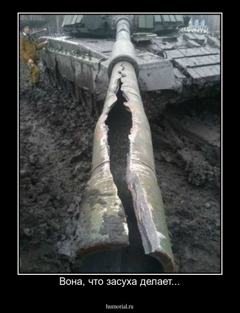 Вона, что засуха делает...