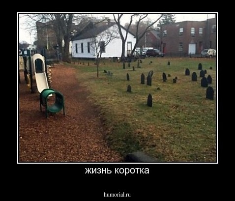 жизнь коротка