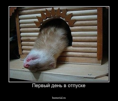 Первый день в отпуске