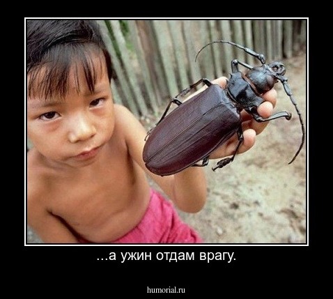 ...а ужин отдам врагу.