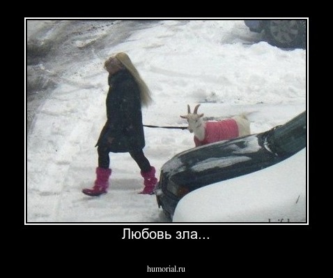 Любовь зла...