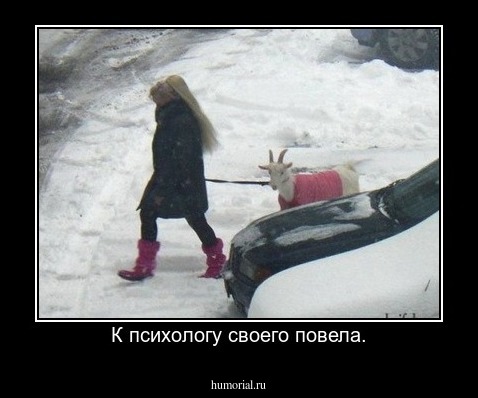 К психологу своего повела.