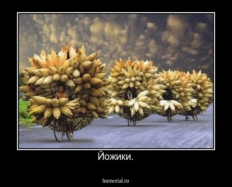 Йожики.