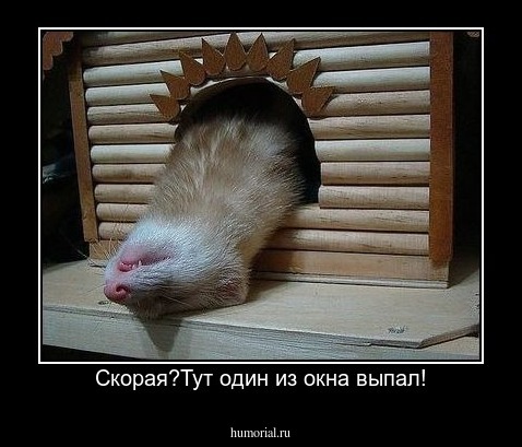 Скорая?Тут один из окна выпал!