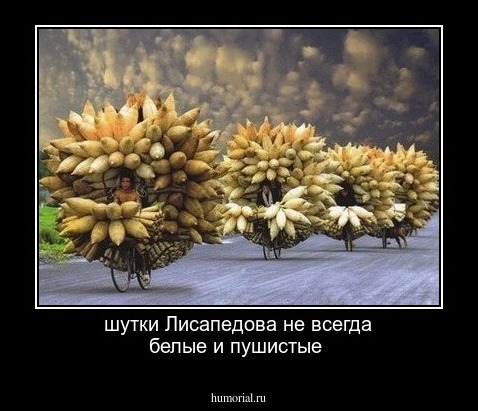 шутки Лисапедова не всегда белые и пушистые