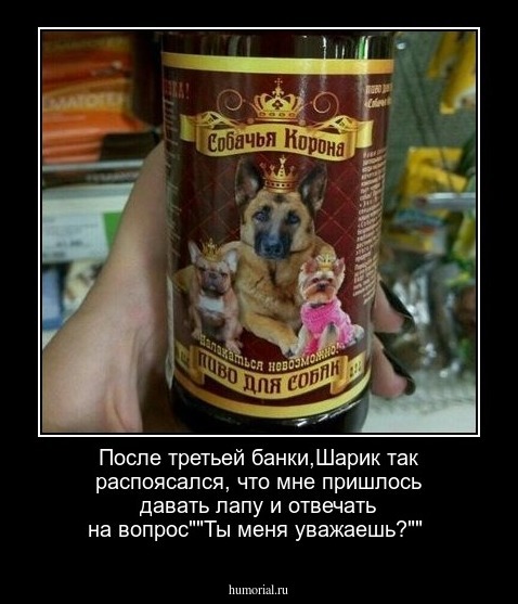 После третьей банки,Шарик так распоясался, что мне пришлось давать лапу и отвечать на вопрос""Ты меня уважаешь?""