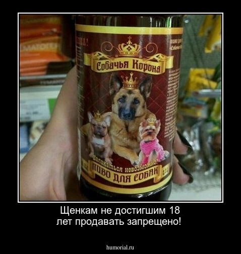 Щенкам не достигшим 18 лет продавать запрещено!