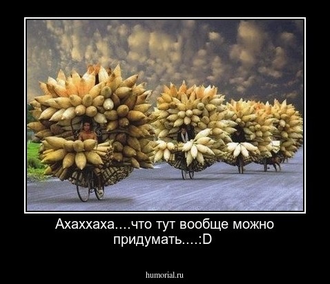 Ахаххаха....что тут вообще можно придумать....:D