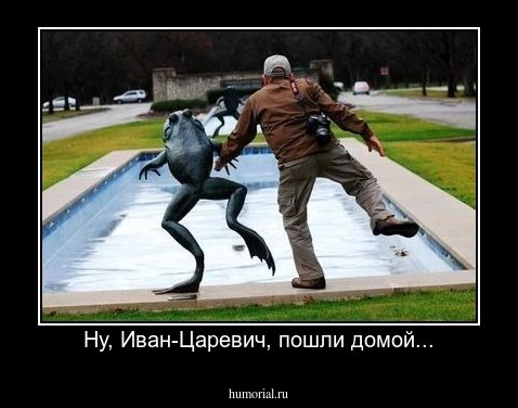 Ну, Иван-Царевич, пошли домой...
