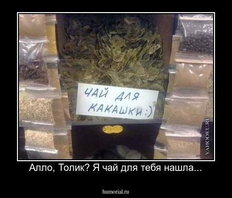 Алло, Толик? Я чай для тебя нашла...