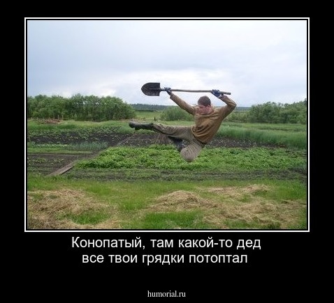 Конопатый, там какой-то дед все твои грядки потоптал