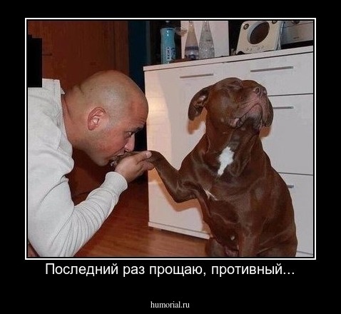 Последний раз прощаю, противный...