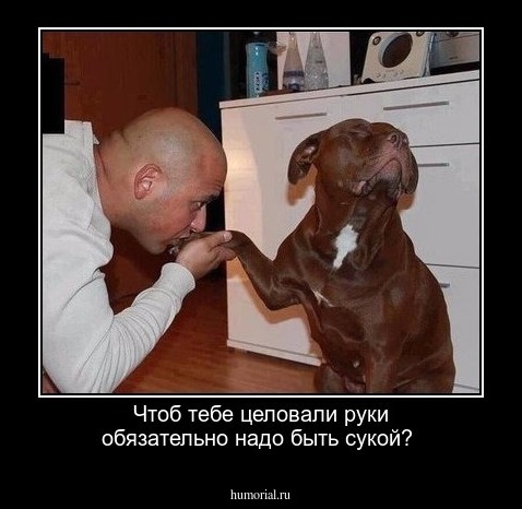 Чтоб тебе целовали руки обязательно надо быть сукой?