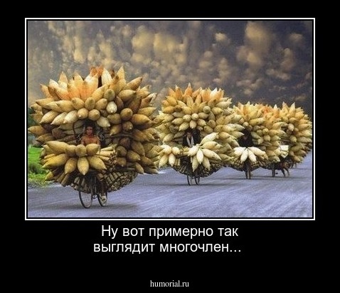 Ну вот примерно так выглядит многочлен...