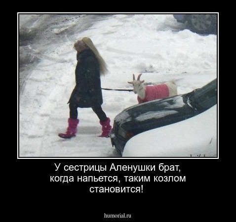 У сестрицы Аленушки брат, когда напьется, таким козлом становится!