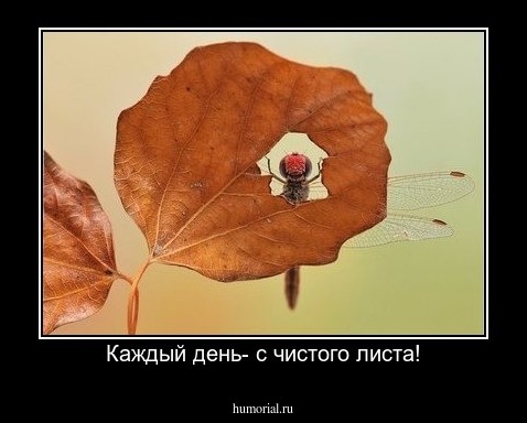 Каждый день- с чистого листа!