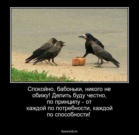 Спокойно, бабоньки, никого не обижу!  Делить буду честно, по принципу  - от каждой по потребности, каждой по способности!