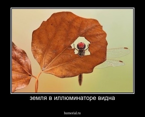 земля в иллюминаторе видна