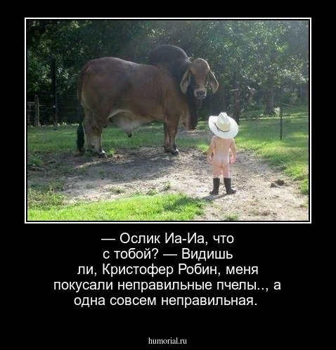 — Ослик Иа-Иа, что с тобой? — Видишь ли, Кристофер Робин, меня покусали неправильные пчелы.., а одна совсем неправильная.