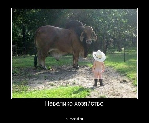 Невелико хозяйство