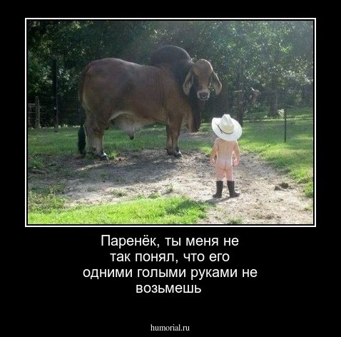 Паренёк, ты меня не так понял, что его одними голыми руками не возьмешь