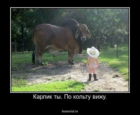 Карлик ты. По кольту вижу.