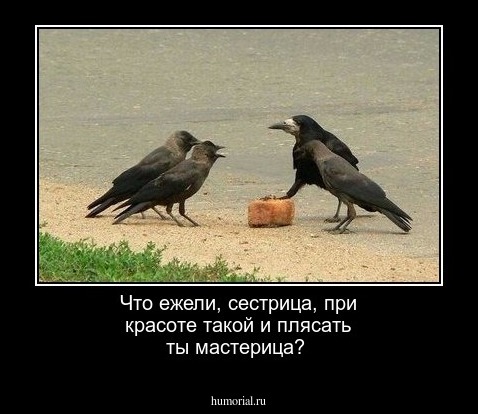 Что ежели, сестрица, при красоте такой и плясать ты мастерица?