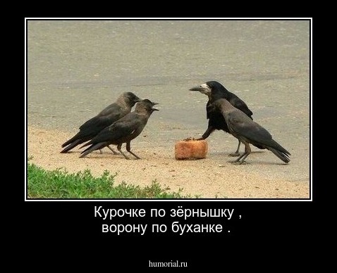 Курочке по зёрнышку , ворону по буханке .