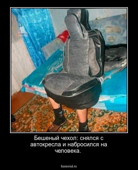 Бешеный чехол: снялся с автокресла и набросился на человека.