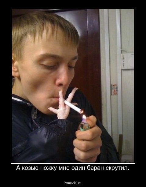 А козью ножку мне один баран скрутил.
