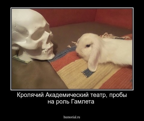 Кролячий Академический театр, пробы на роль Гамлета 