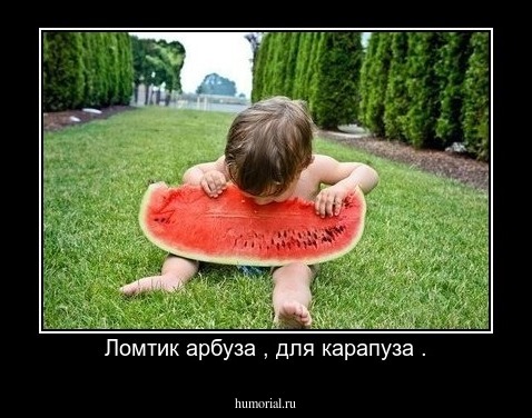 Ломтик арбуза , для карапуза .