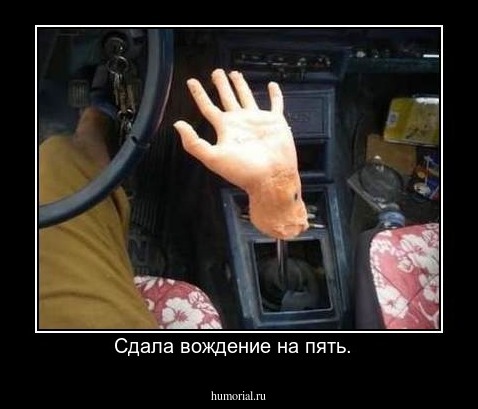 Сдала вождение на пять.  