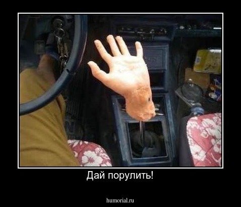 Дай порулить!