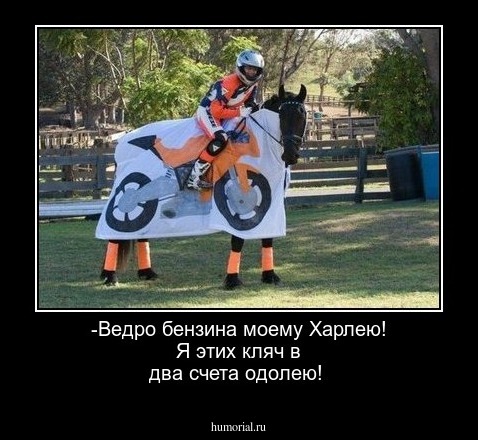 -Ведро бензина моему Харлею! Я этих кляч в два счета одолею!