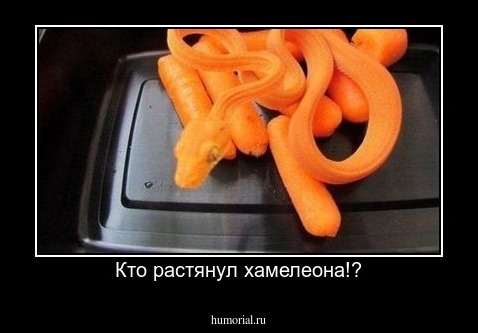 Кто растянул хамелеона!?