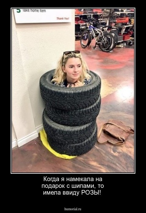 Когда я намекала на подарок с шипами, то имела ввиду РОЗЫ!