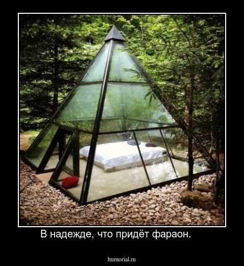 В надежде, что придёт фараон.    