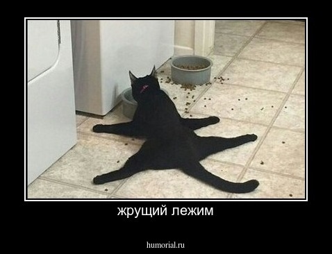 жрущий лежим