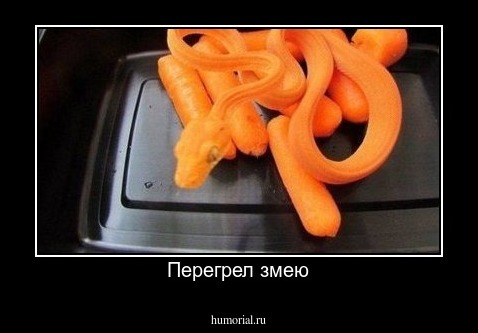 Перегрел змею