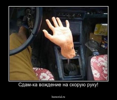 Сдам-ка вождение на скорую руку!